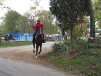 /international/USA/2008AERCNC/gallery/05/thumbnails/NC 50 143.jpg